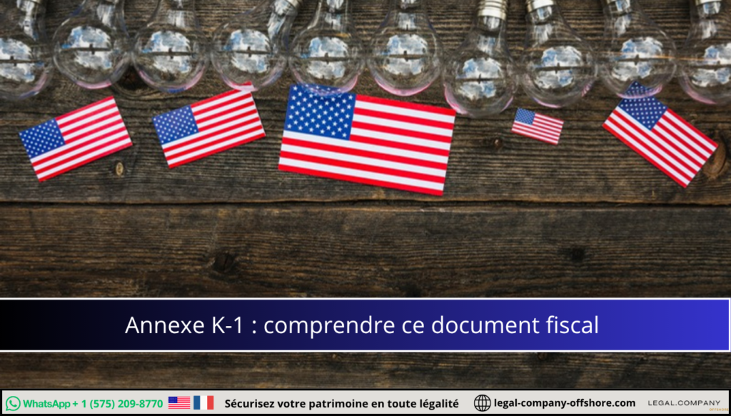 Annexe K-1 : le guide fiscal essentiel pour votre LLC