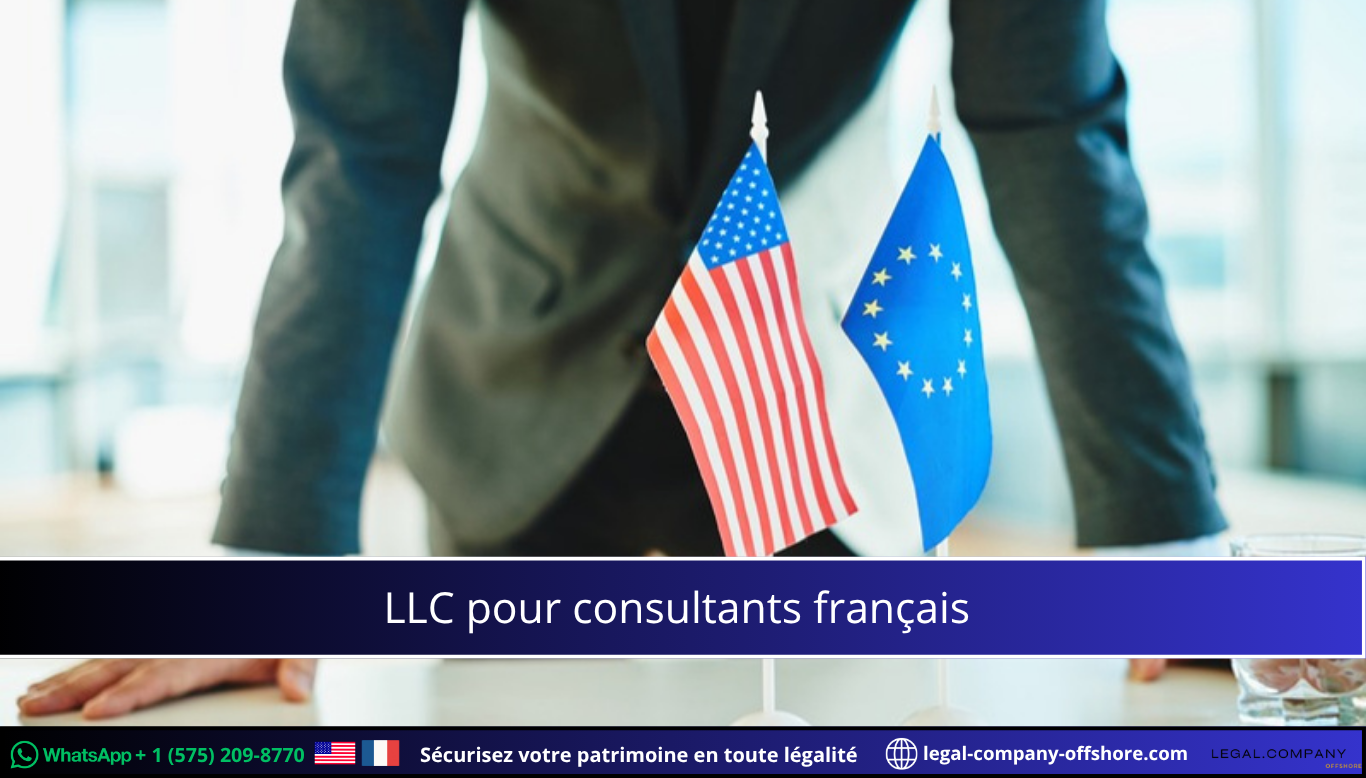 LLC pour consultants français