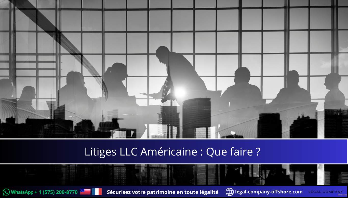 Litiges LLC Américaine prévenir et résoudre les conflits aux USA
