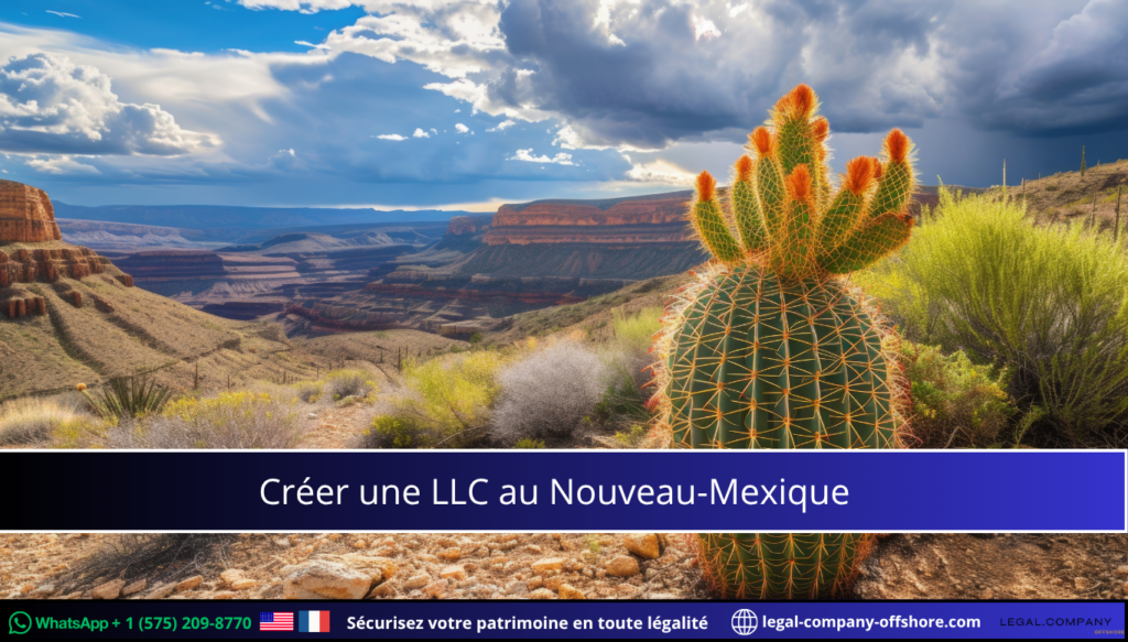 Créer une LLC au Nouveau-Mexique : Avantages fiscaux