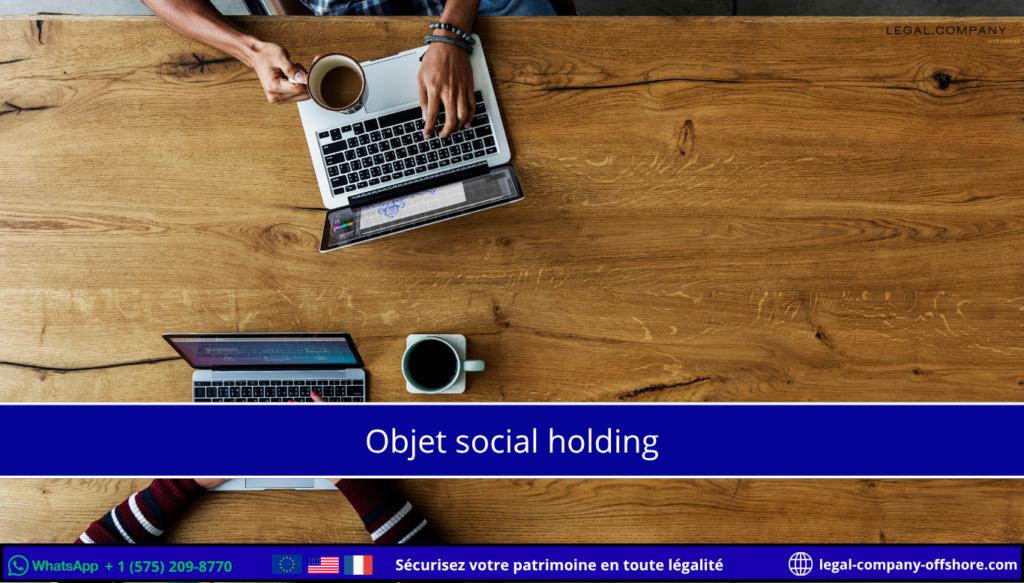 Objet social holding : définition et exemples